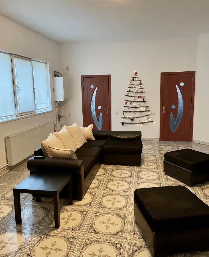 Mosaico Alfetta Hostel 티미쇼아라 외부 사진