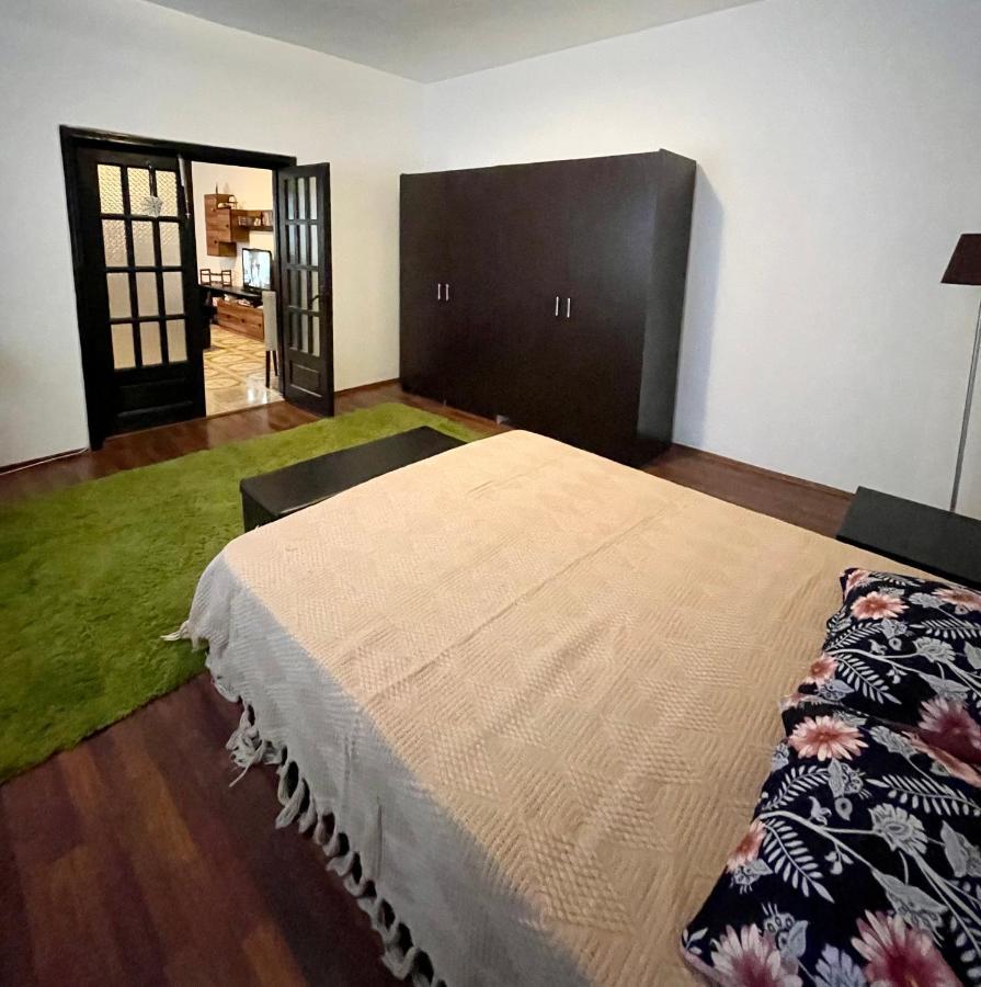 Mosaico Alfetta Hostel 티미쇼아라 외부 사진