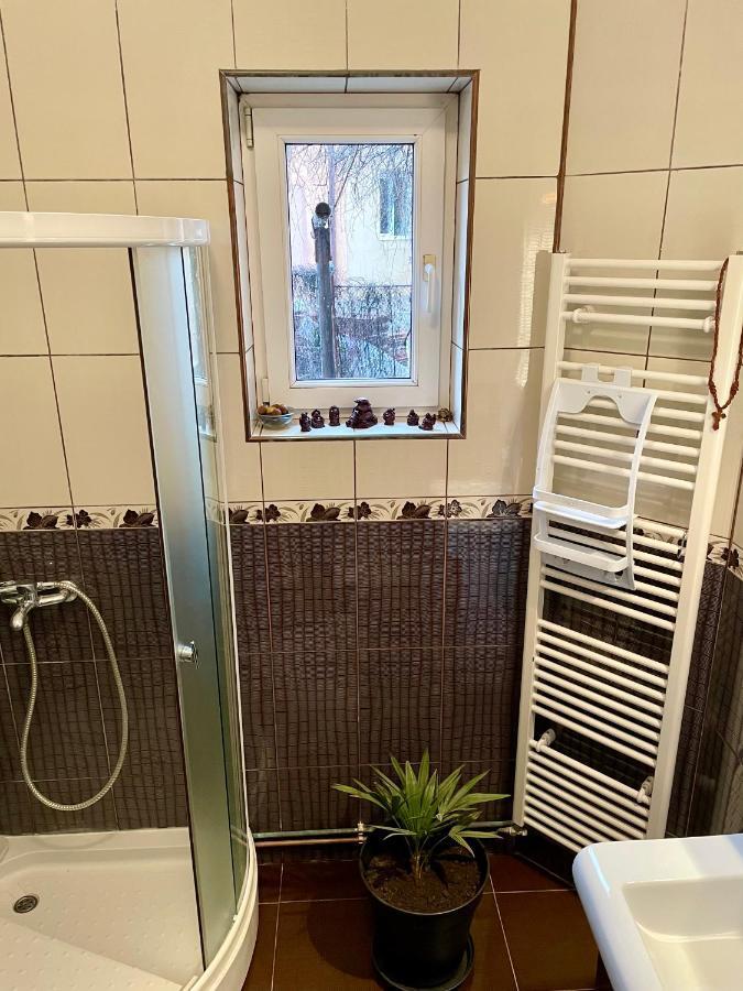 Mosaico Alfetta Hostel 티미쇼아라 외부 사진
