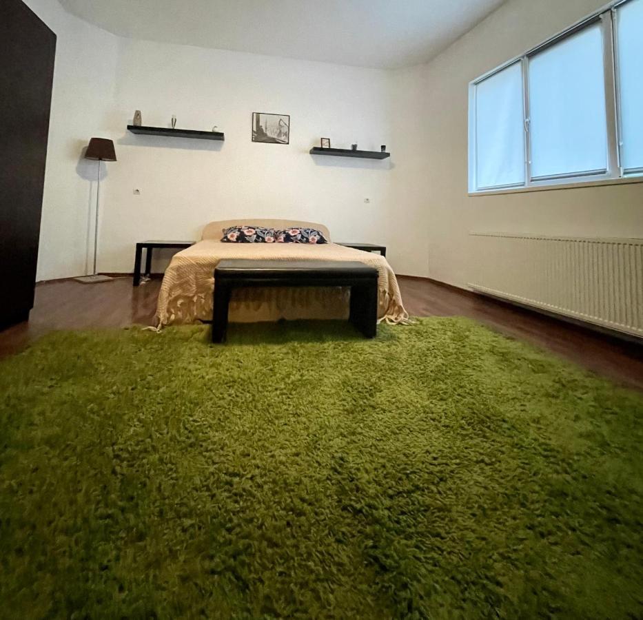 Mosaico Alfetta Hostel 티미쇼아라 외부 사진