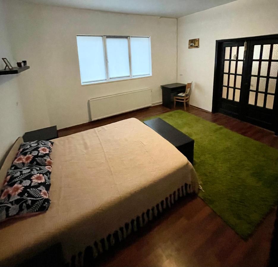 Mosaico Alfetta Hostel 티미쇼아라 외부 사진
