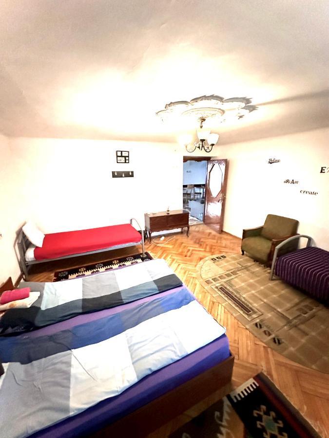 Mosaico Alfetta Hostel 티미쇼아라 외부 사진