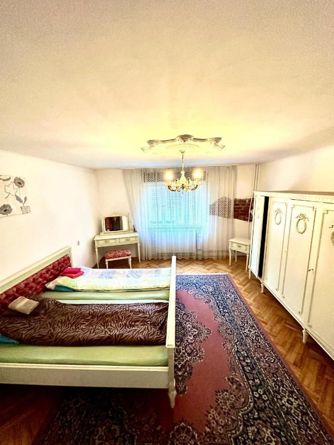Mosaico Alfetta Hostel 티미쇼아라 외부 사진