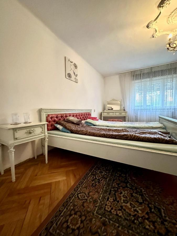 Mosaico Alfetta Hostel 티미쇼아라 외부 사진