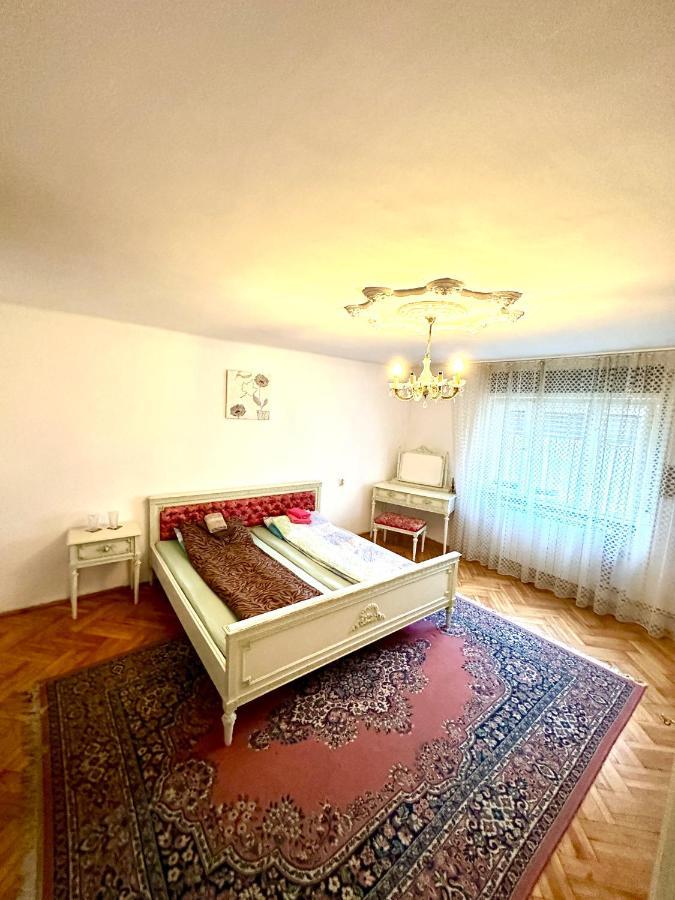 Mosaico Alfetta Hostel 티미쇼아라 외부 사진