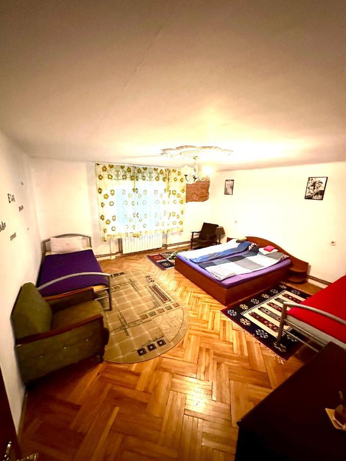 Mosaico Alfetta Hostel 티미쇼아라 외부 사진