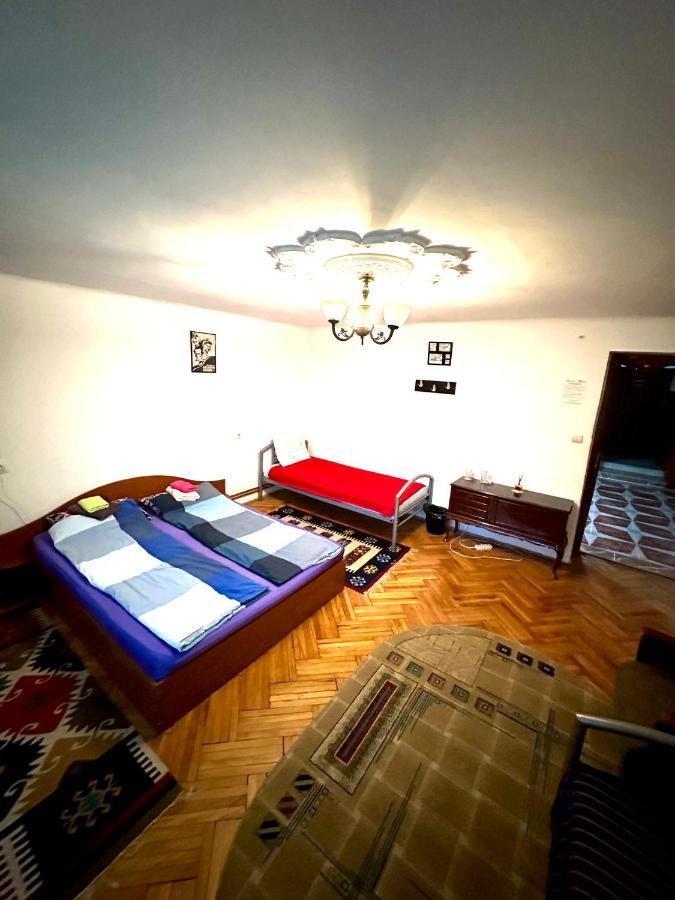 Mosaico Alfetta Hostel 티미쇼아라 외부 사진